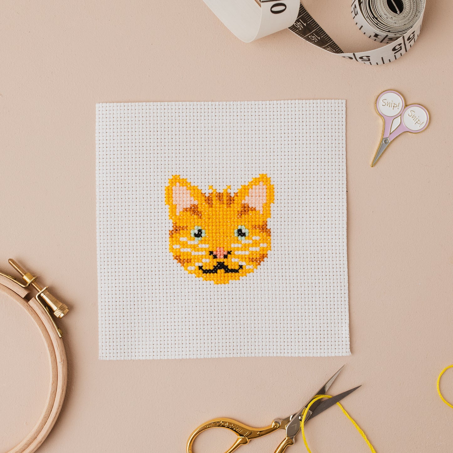 Ginger Cat Mini Counted Cross Stitch Kit