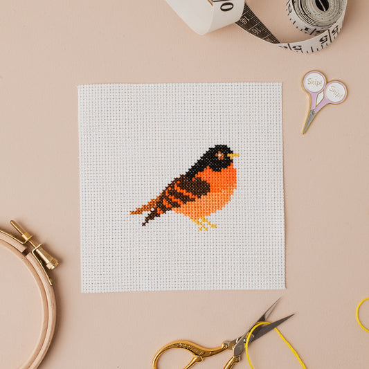 Bird Mini Counted Cross Stitch Kit