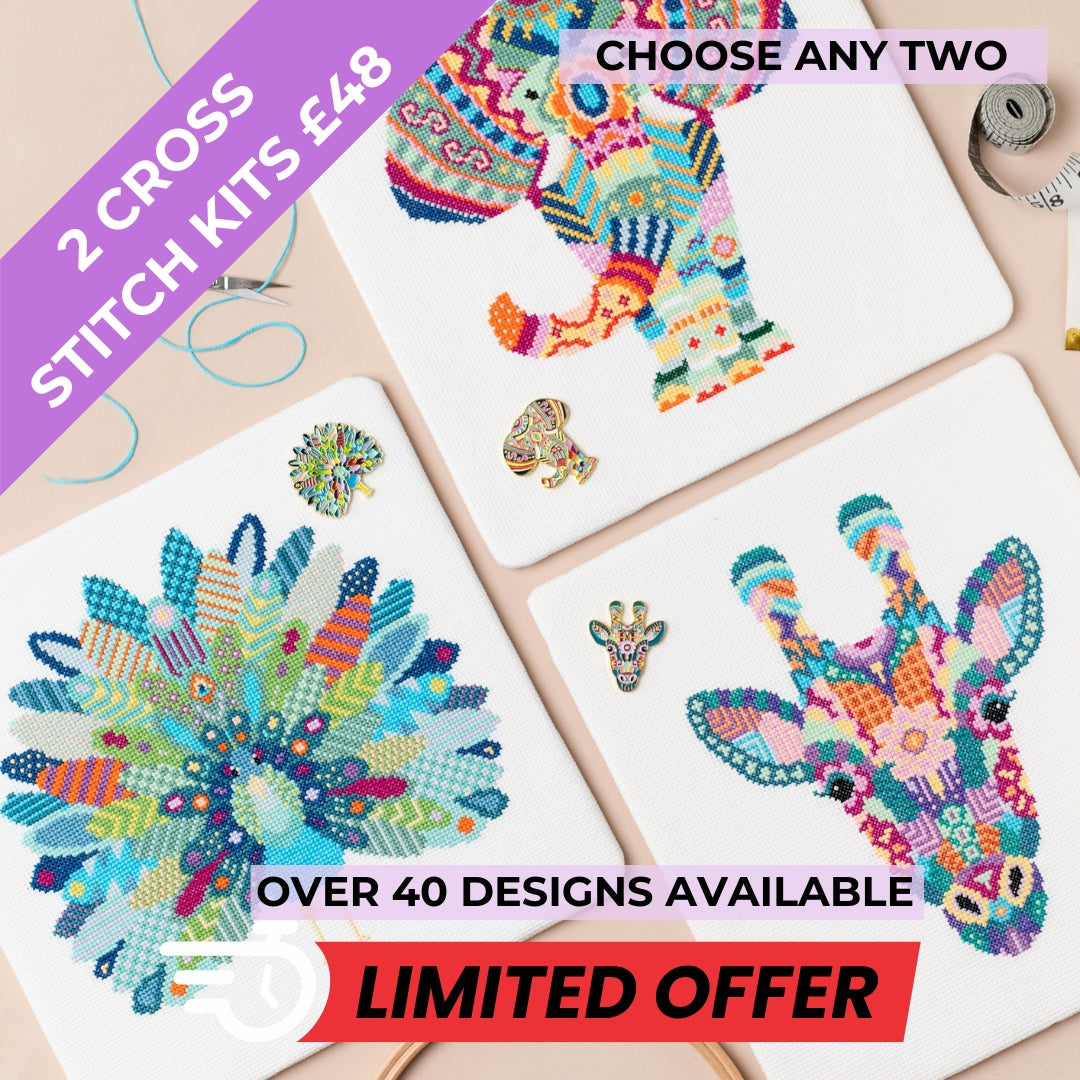 Counted Cross Stitch Kit Set of 2 - Choose Your Own